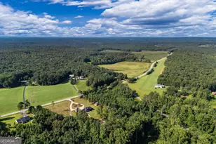 1360 Gum Creek Airport Rd, Roopville, GA 30170 - Photo 67