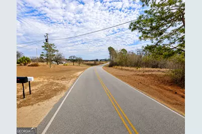 23.03 Acres Carters Bridge Road, Claxton, GA 30417 - Photo 5