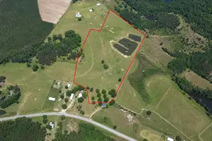 23 03 Acres Carters Bridge Rd, Claxton, GA 30417 - Photo 1