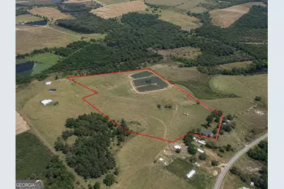 23.03 Acres Carters Bridge Road, Claxton, GA 30417 - Photo 3