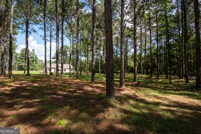 4079 Primrose Road, Grantville, GA 30220 - Photo 45