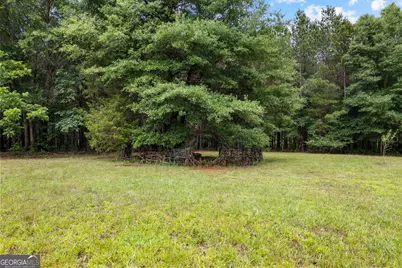 1329 Standing Rock Road, Senoia, GA 30276 - Photo 65