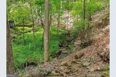 87 Garden Lane, Cleveland, GA 30528 - Photo 39