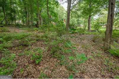 285 Dollar Road, Hamilton, GA 31811 - Photo 49