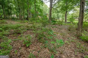 285 Dollar Rd, Hamilton, GA 31811 - Photo 49