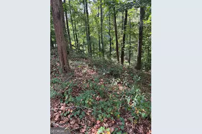 1320 Barnett Ridge, Athens, GA 30605 - Photo 35