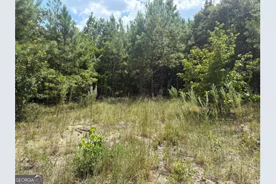 L12 N Indian Trail Road, Sandersville, GA 31082 - Photo 9