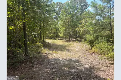 L12 N Indian Trail Road, Sandersville, GA 31082 - Photo 5