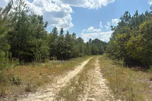 L12 N Indian Trail Rd, Sandersville, GA 31082 - Photo 1