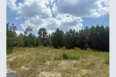L12 N Indian Trail Road, Sandersville, GA 31082 - Photo 3