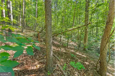 786 Cherry Court #718, Clarkesville, GA 30523 - Photo 21