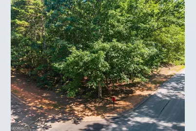 786 Cherry Court #718, Clarkesville, GA 30523 - Photo 7