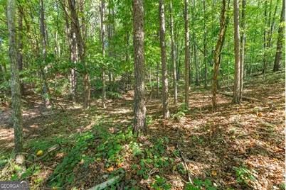 786 Cherry Court #718, Clarkesville, GA 30523 - Photo 19