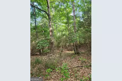 0 Hwy 142, Newborn, GA 30056 - Photo 7