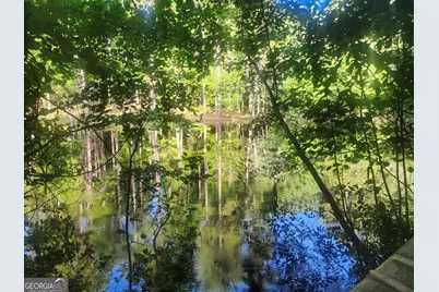 0 Hwy 142, Newborn, GA 30056 - Photo 1