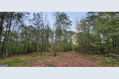 18 E Mourning Dove Court, Monticello, GA 31064 - Photo 1