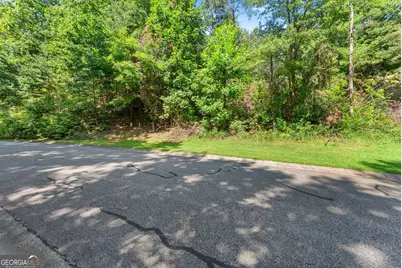 0 Raspberry Lane #1502, Clarkesville, GA 30523 - Photo 1