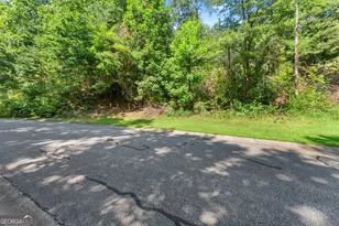 0 Raspberry Ln, Clarkesville, GA 30523 - Photo 1