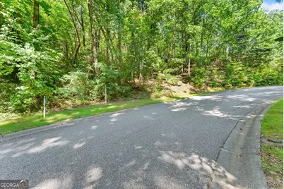 0 Raspberry Lane #1502, Clarkesville, GA 30523 - Photo 7
