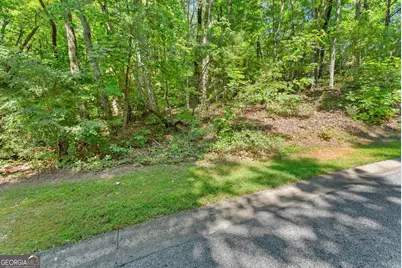 0 Raspberry Lane #1502, Clarkesville, GA 30523 - Photo 11