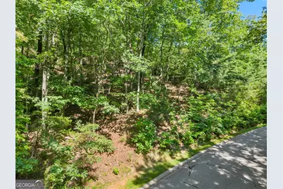 0 Raspberry Lane #1502, Clarkesville, GA 30523 - Photo 15