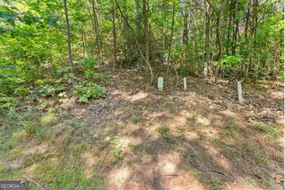 0 Raspberry Lane #1502, Clarkesville, GA 30523 - Photo 13