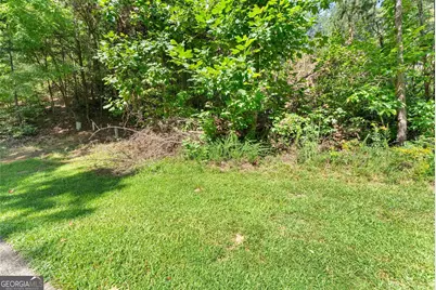 0 Raspberry Lane #1502, Clarkesville, GA 30523 - Photo 3