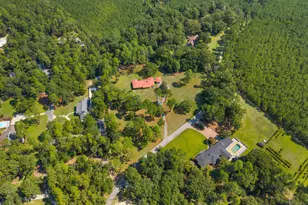 315 Cork Pond Rd, Sylvania, GA 30467 - Photo 45