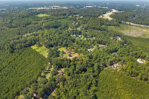 315 Cork Pond Rd, Sylvania, GA 30467 - Photo 41