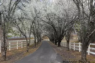 2837 Hwy 411 S, Chatsworth, GA 30705 - Photo 55