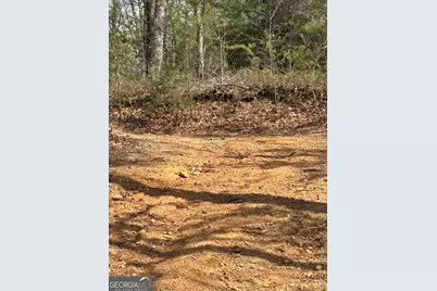 0 Laurel Branch, Dawsonville, GA 30534 - Photo 5