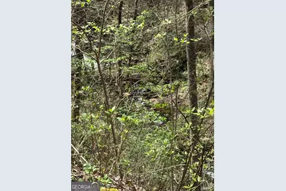 0 Laurel Branch, Dawsonville, GA 30534 - Photo 1