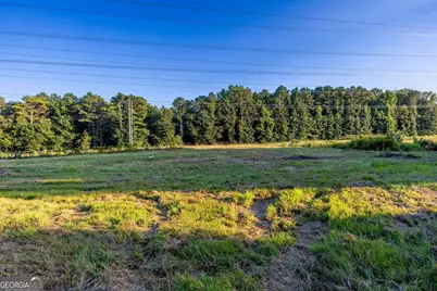 8410 Cleckler Road, Palmetto, GA 30268 - Photo 47