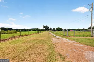 793 Harrell Rd, Thomaston, GA 30286 - Photo 55