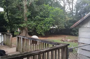 1335 Dewey St, Macon, GA 31206 - Photo 9