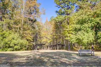 142 Mado Lane, Chattahoochee Hills, GA 30268 - Photo 55