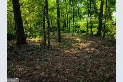 10218 Red Bridge Court, Jonesboro, GA 30238 - Photo 9