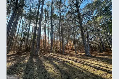0 Hard Rock Road, Oxford, GA 30054 - Photo 3