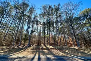 0 Hard Rock Rd, Oxford, GA 30054 - Photo 1