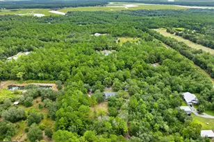1194 Baileys Forrest Road NE, Townsend, GA 31331 - Photo 7