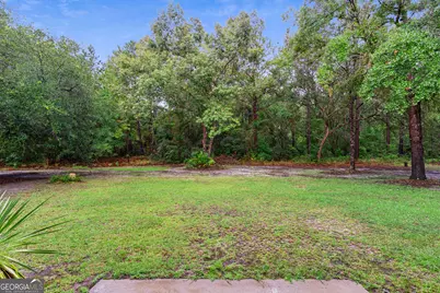 1194 Baileys Forrest Road NE, Townsend, GA 31331 - Photo 53