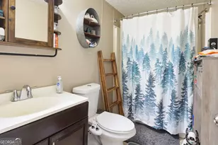 383 Jones Rd, Milner, GA 30257 - Photo 21