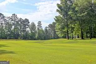 57 Garden Grove, Newnan, GA 30265 - Photo 39