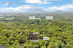 445 Skyview Cir, Clarkesville, GA 30523 - Photo 51