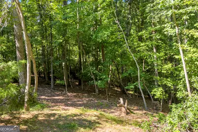 445 Skyview Circle, Clarkesville, GA 30523 - Photo 43