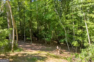 445 Skyview Cir, Clarkesville, GA 30523 - Photo 43