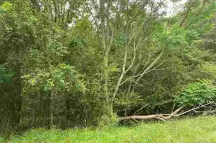 0 River Birch Ln, Colbert, GA 30628 - Photo 1