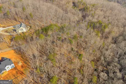 0 Planters Creek, Baldwin, GA 30511 - Photo 3