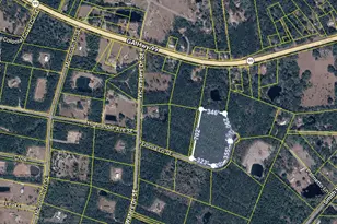0 Emma Ln, Townsend, GA 31331 - Photo 1