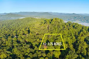 144 Point of View, Blue Ridge, GA 30513 - Photo 67